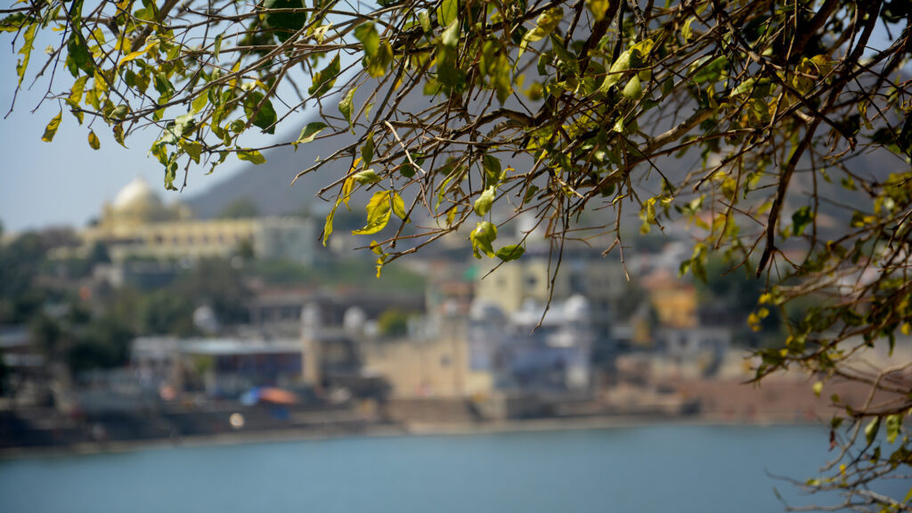 Pushkar From Mahadev Mandir