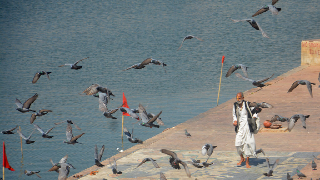 Jaipur Ghat Pushkar