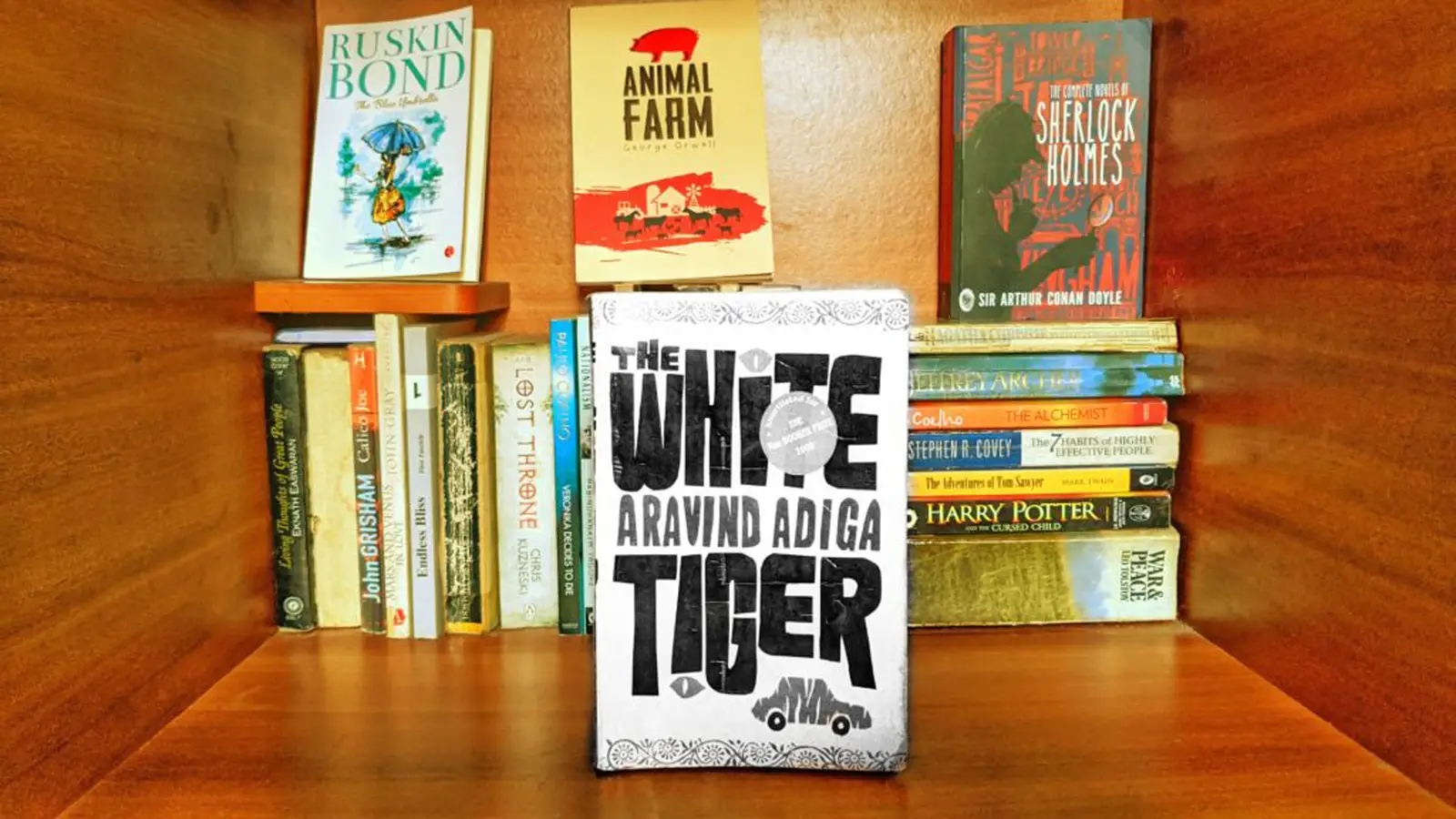 White Tiger Book