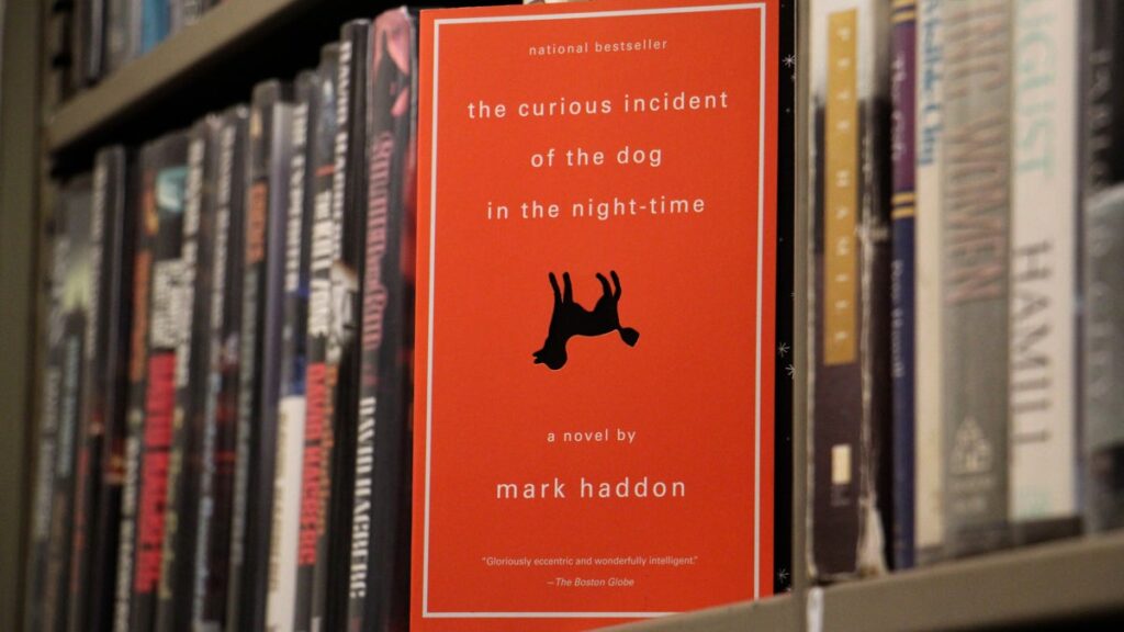 The Curious Incident of the Dog in the Night-Time : A Dive into Autism Awareness