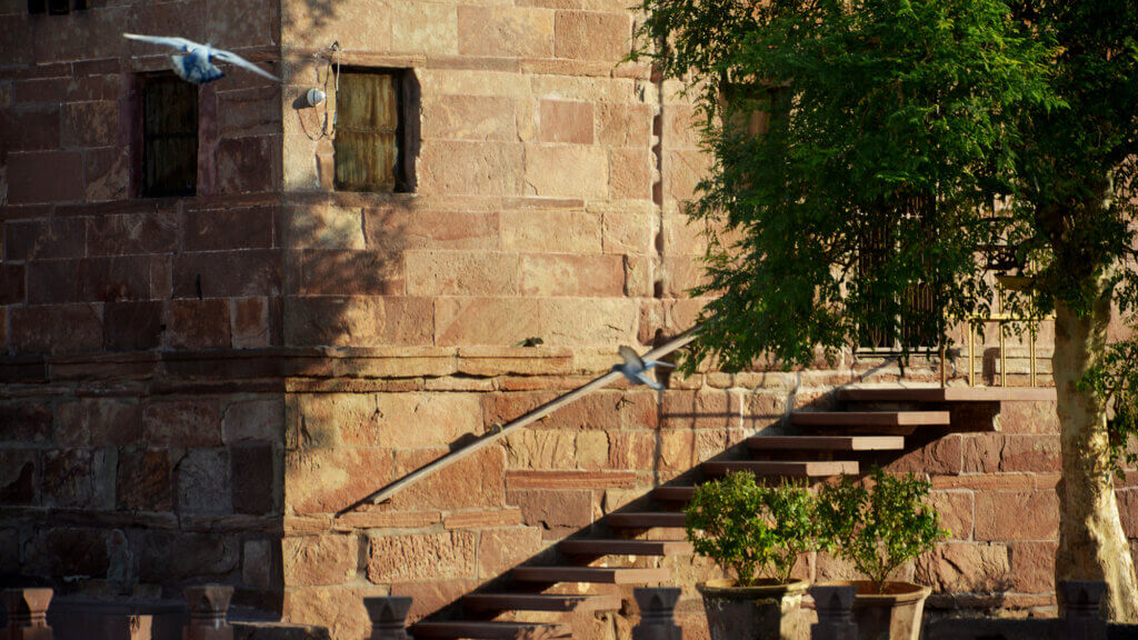 Toorji Ka Jhalra Jodhpur