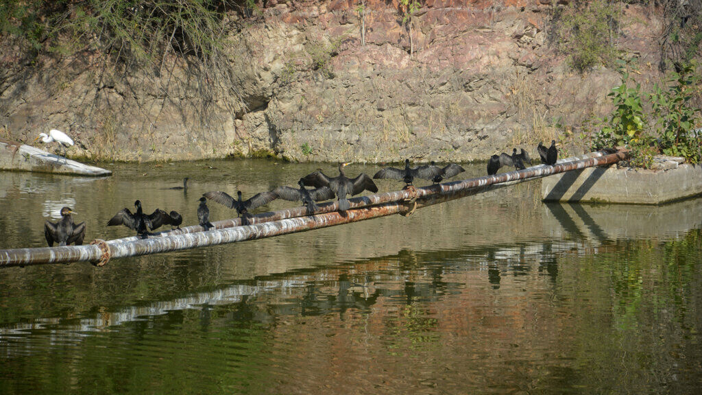 Padamsar Lake