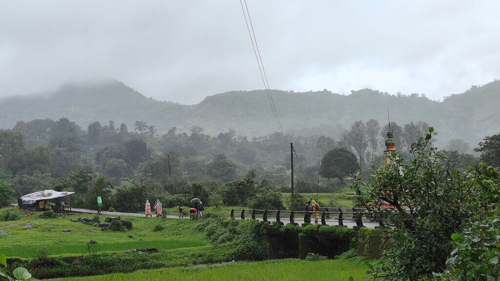 Brahmagiri Pheri