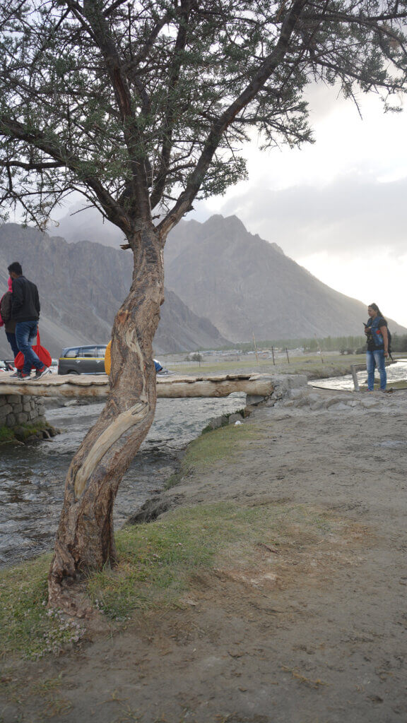 Nubra Valley