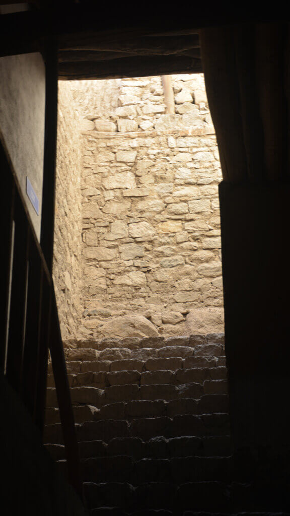 Light at Leh Palace