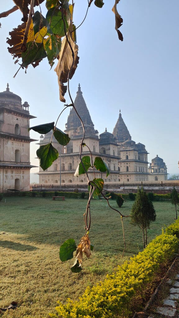 A leafy vine hangs in the foreground, partially blocking the view of an ornate historical palace with domed towers, surrounded by green lawns and small trees under a clear sky.