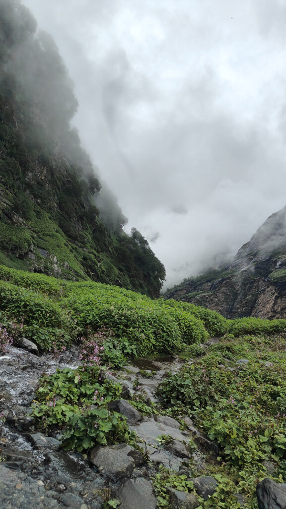 The Valley