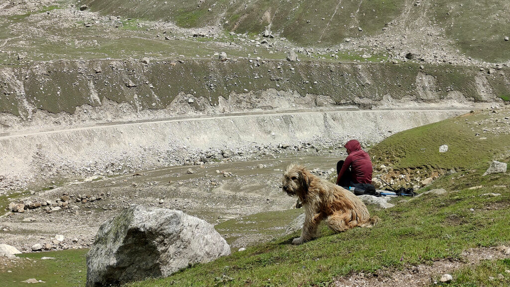 Man and Dog