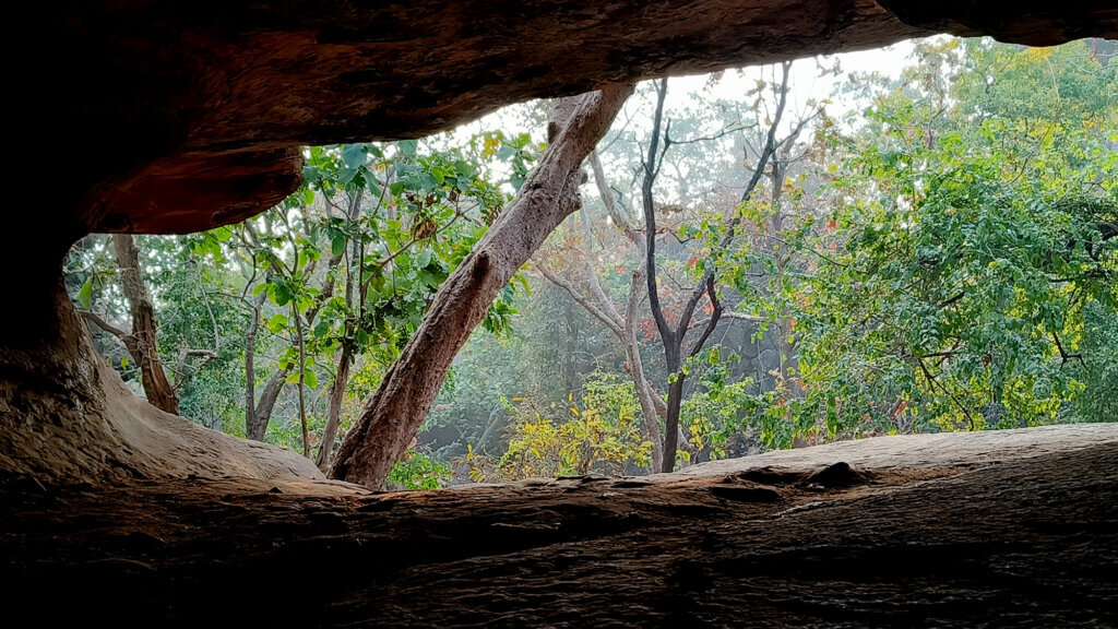Bhopal Bhimbetka caves